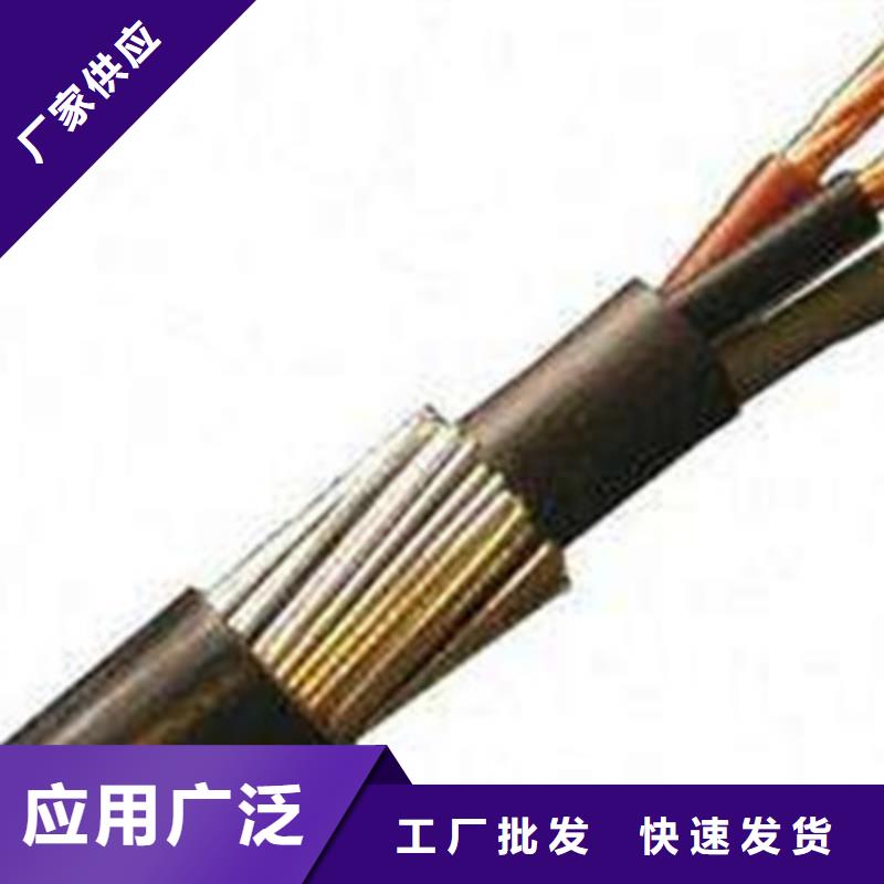 RVGBPV软芯铜丝电缆公司