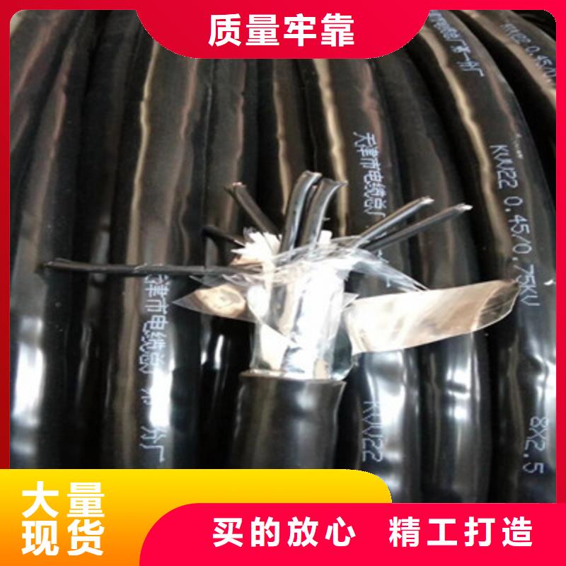 规格齐全的ZC-LT-HRSPVP4X0.5阻燃通讯电缆销售厂家