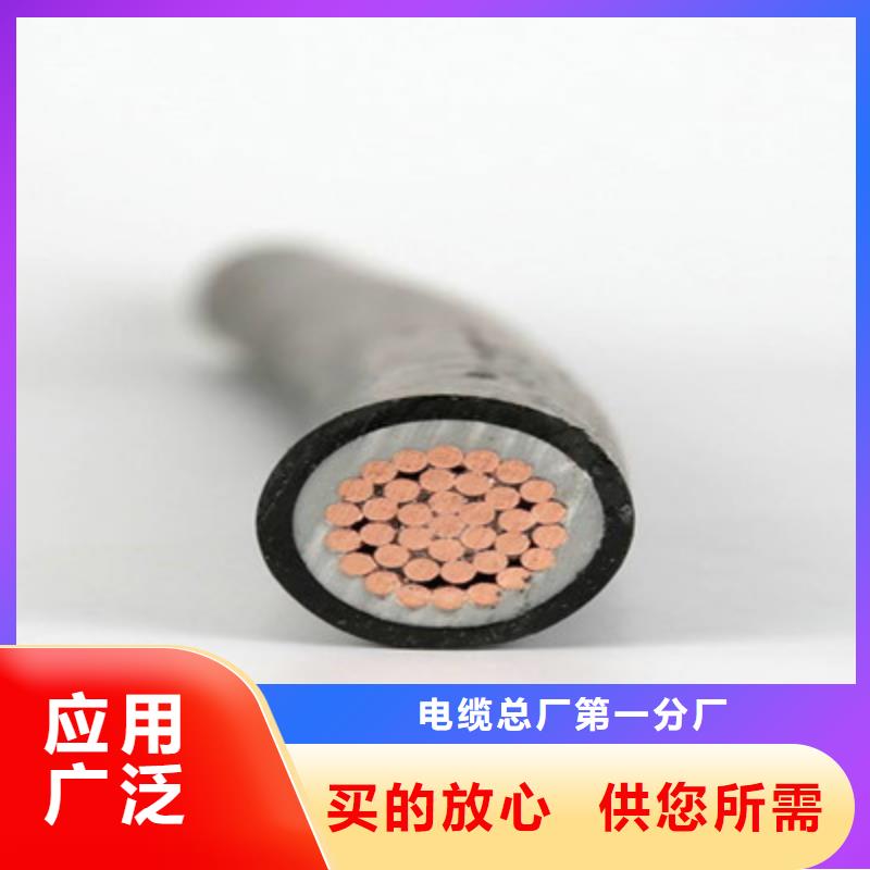 礦用橡套電纜MYPTJ-3X10+1X6良心廠家