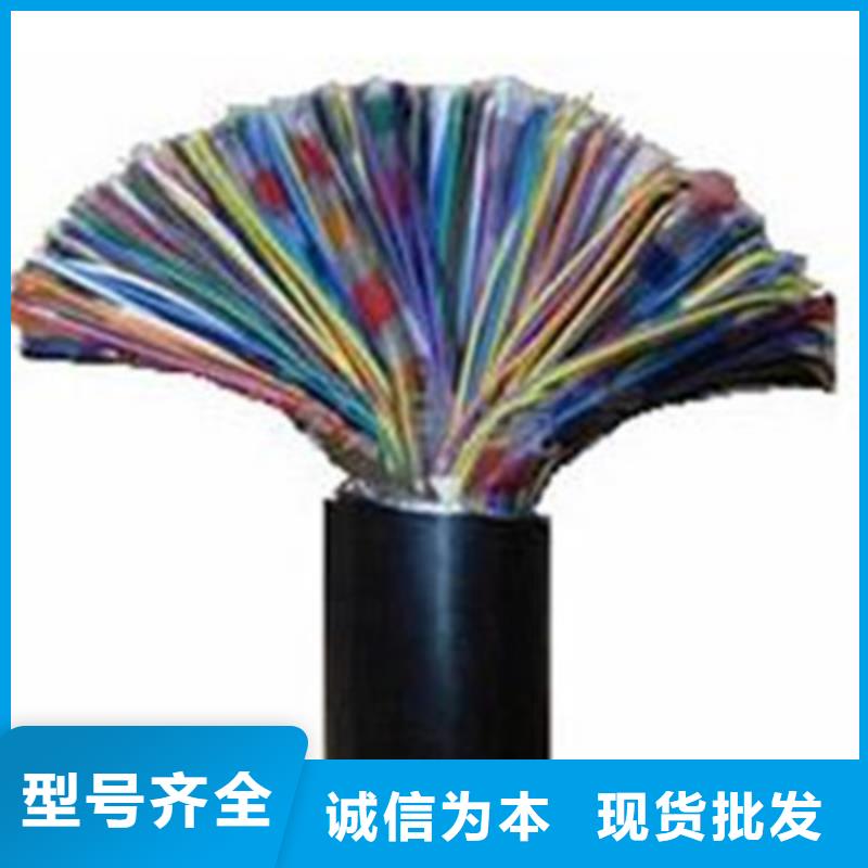 阻燃鎧裝屏蔽網(wǎng)線ZRA-HSGWPP223對(duì)0.75
