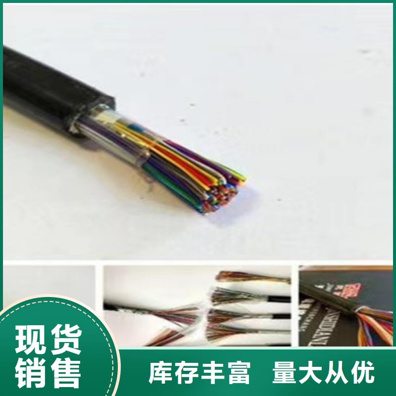 830-CA04通訊電纜擇優