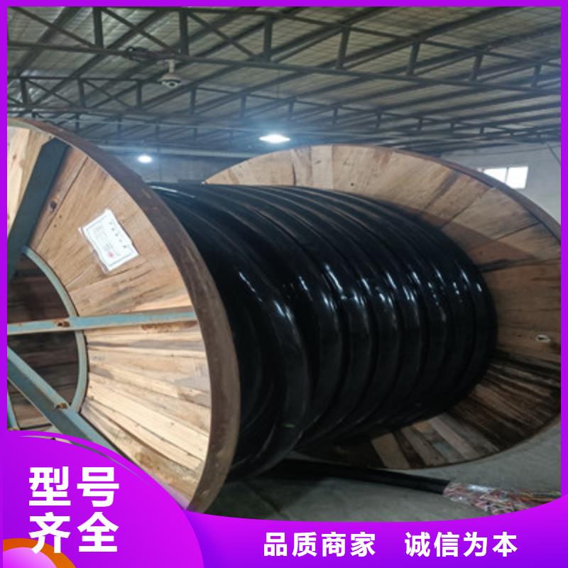 BVVSP軟芯雙絞電纜學校