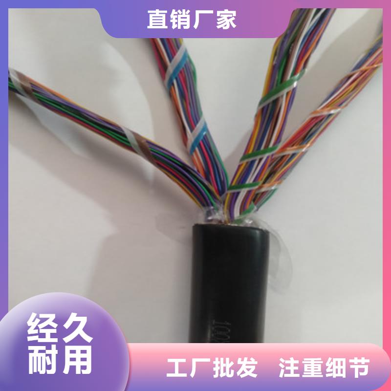 CO-IREV-SX特種屏蔽電纜1X2.5