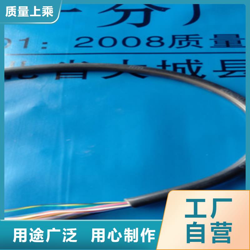 通信電纜屏蔽電纜專心專注專業