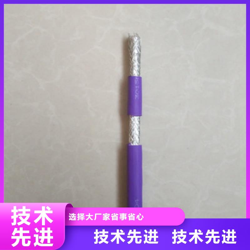 阻燃鎧裝屏蔽網(wǎng)線ZRA-HSGWPP223對(duì)0.75