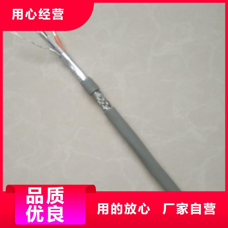 通訊電纜CO-IREV-SX制造廠家