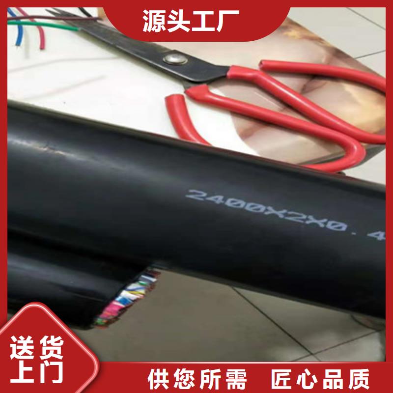 通信電纜信號電纜認準大品牌廠家
