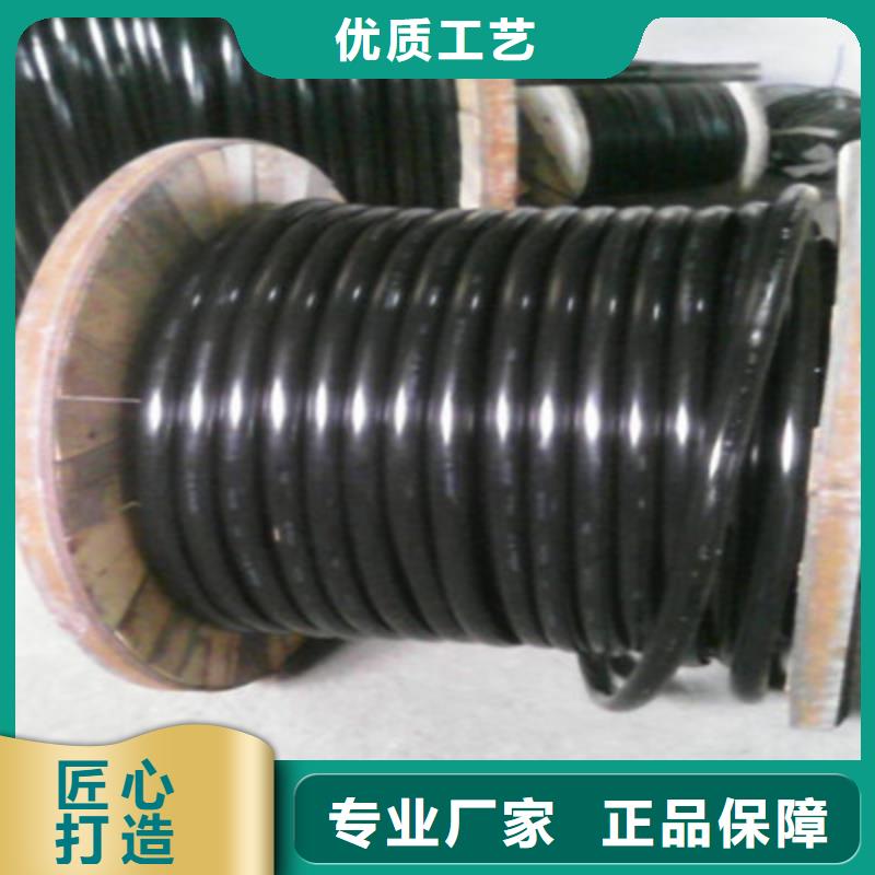 WDZBLSZHBUS低煙無鹵綠電纜現貨充足