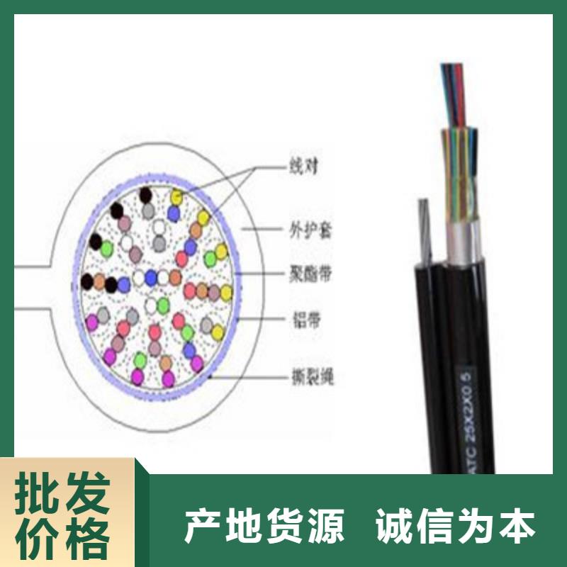 通信電纜屏蔽電纜廠家工藝先進