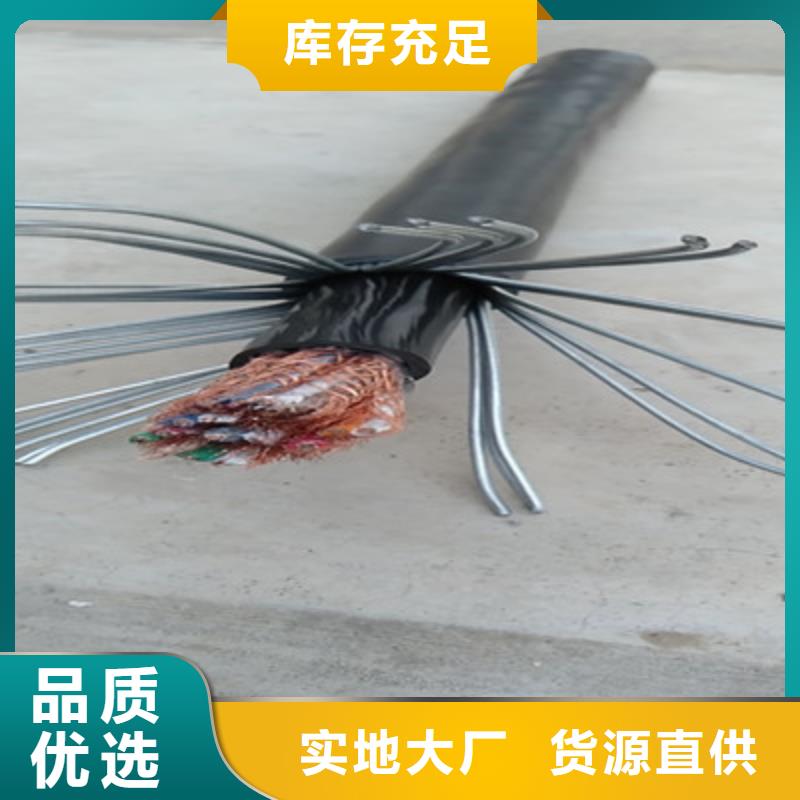 NH-DJFP3FP耐火計算機(jī)電纜14X2X0.75