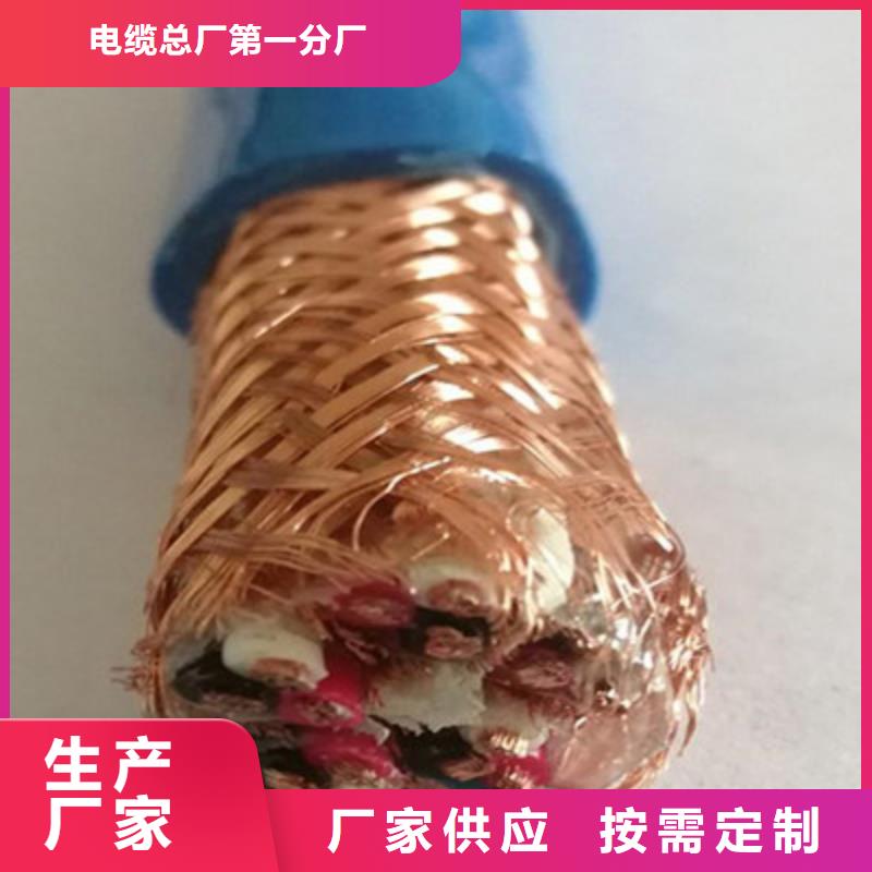 鎧裝計算機電纜ZR-KJYYVRPL22鑄造金品