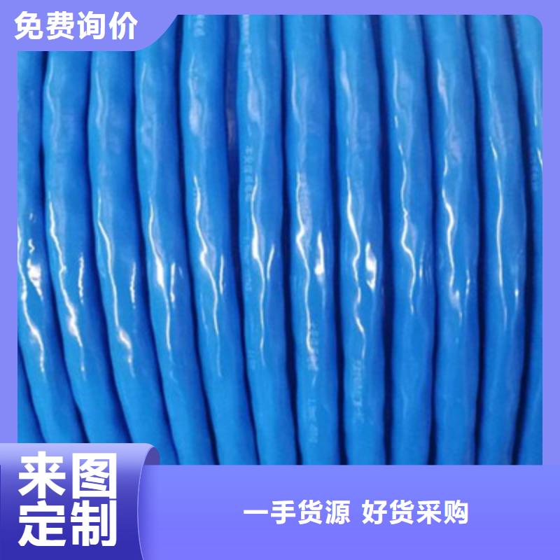 耐火計算機電纜NH-DJYPV22大品牌值得信賴