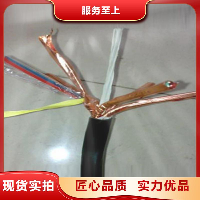 WDZ-DJYP2V22低烟无卤计算机电缆售后完善