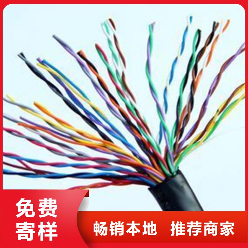 计算机屏蔽电缆DJYP2V22口碑良好