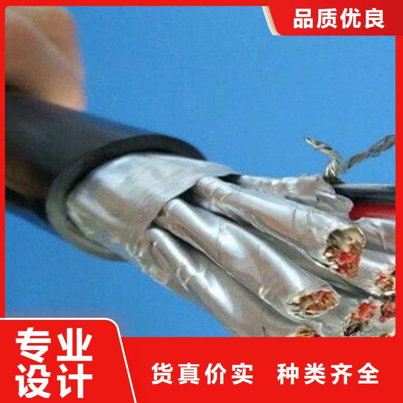 鎧裝計算機電纜CHYVRP8219X2X1.5