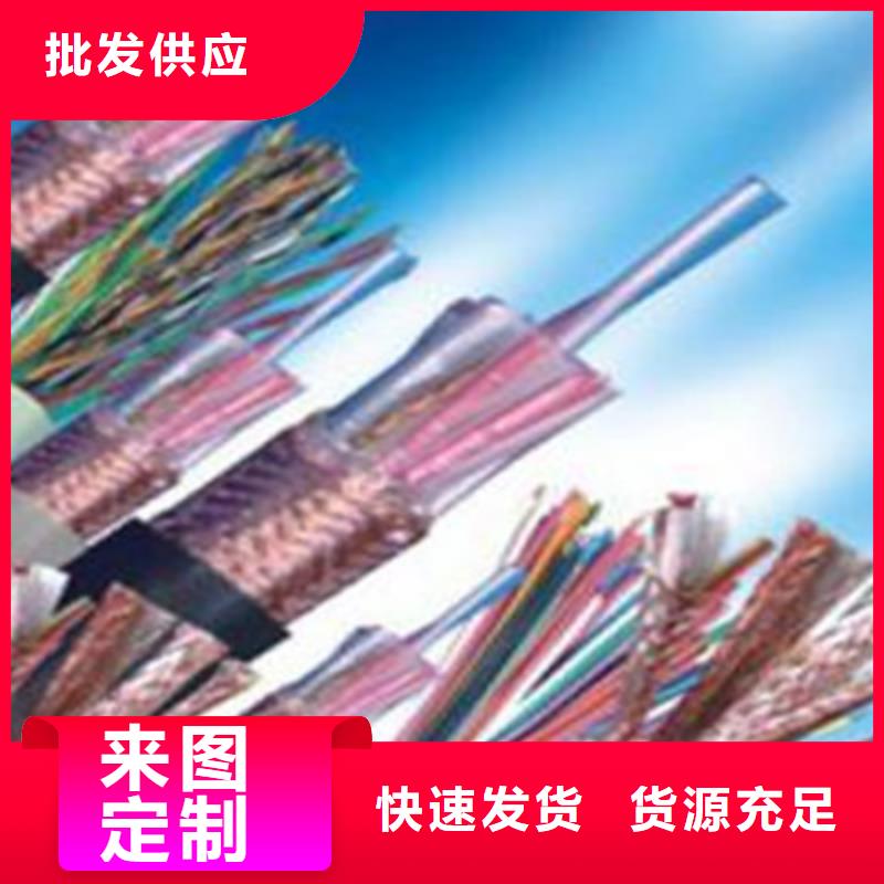 計算機電纜,電纜生產廠家擁有多家成功案例
