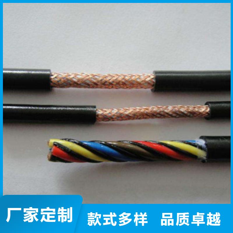 阻燃計算機電纜ZR-DJYP2V228X2X2.5