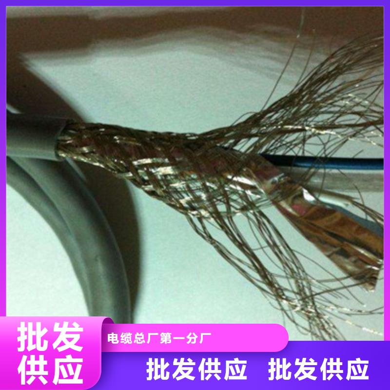 DJYJP3VP3-22鎧裝計算機電纜24X2X1.5