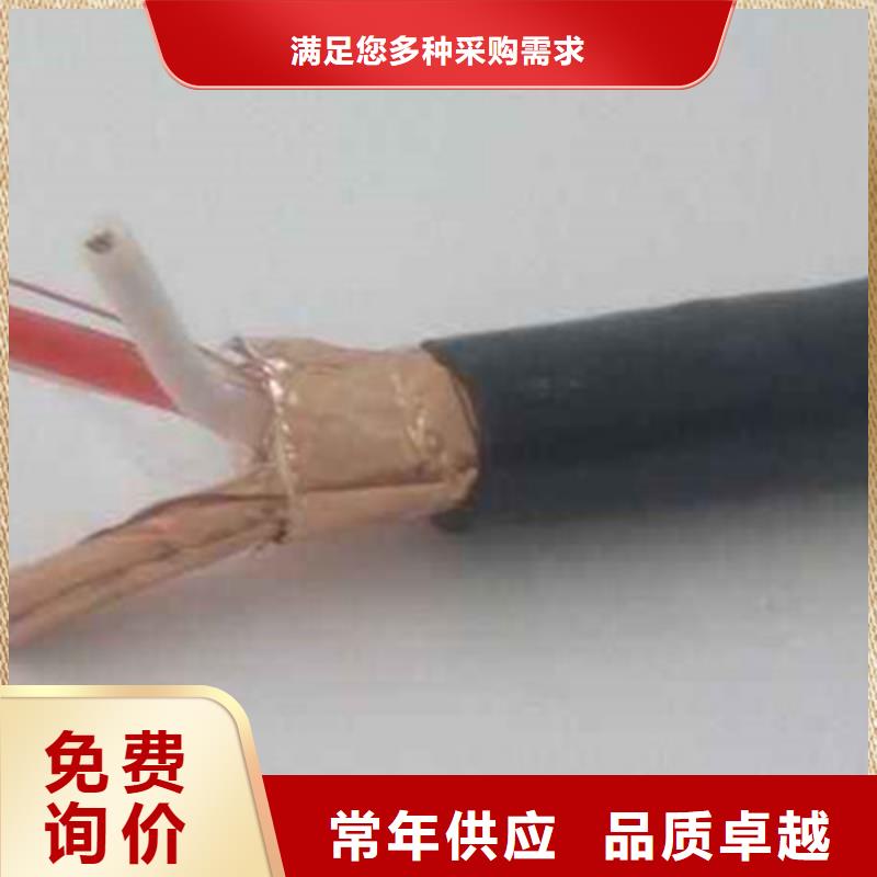 NH-DJYJP3VP3R耐火計算機(jī)電纜30X2X1.0