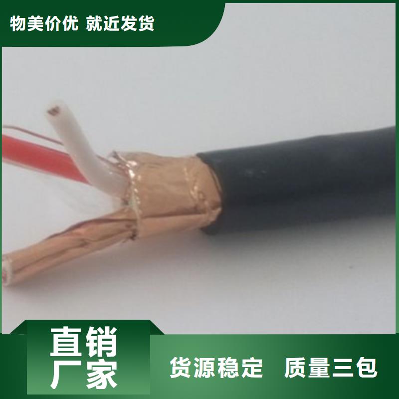 阻燃計算機電纜ZR-DJYJP3V224X2X0.75