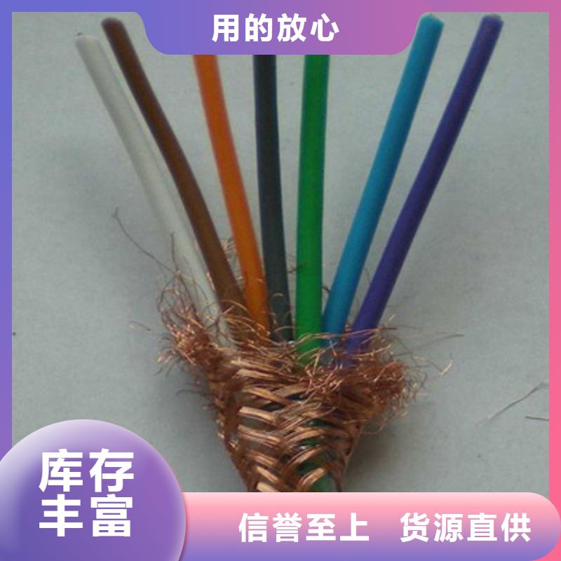 耐火計算機電纜NH-DJYJVP2R6X2X1.0