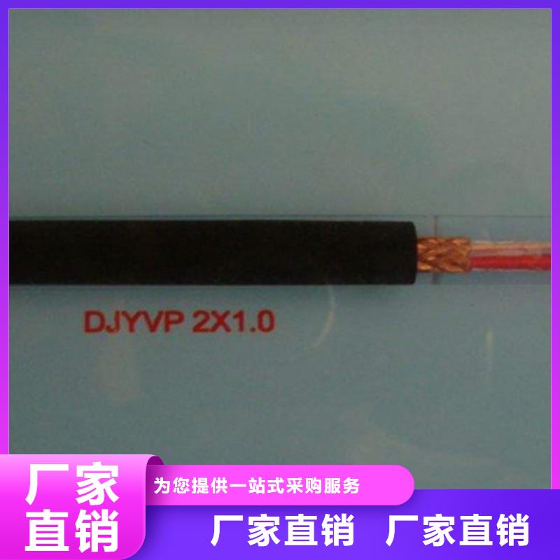 DJYJP3VP3鎧裝計(jì)算機(jī)電纜、DJYJP3VP3鎧裝計(jì)算機(jī)電纜生產(chǎn)廠家-型號齊全