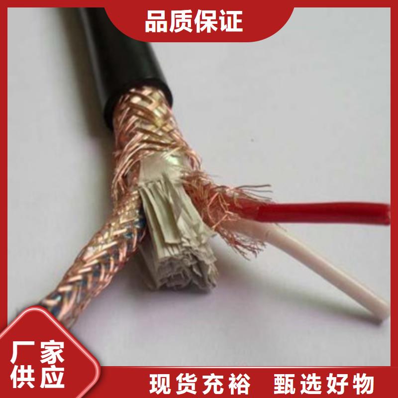 鎧裝計算機電纜ZR-KJYYVRPL22鑄造金品
