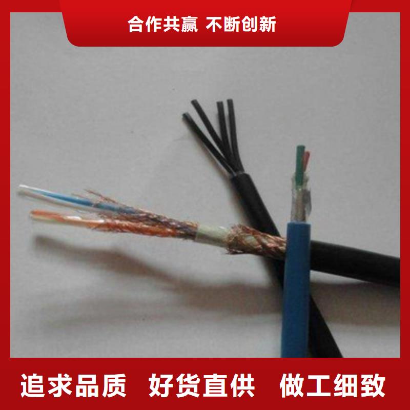 耐火计算机电缆NH-DJVP3VP3R7X2X1.0