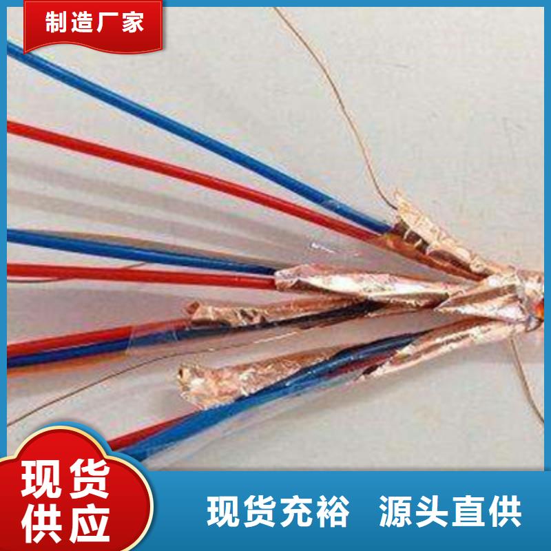 耐火計算機電纜NH-DJYJVP2R6X2X1.0