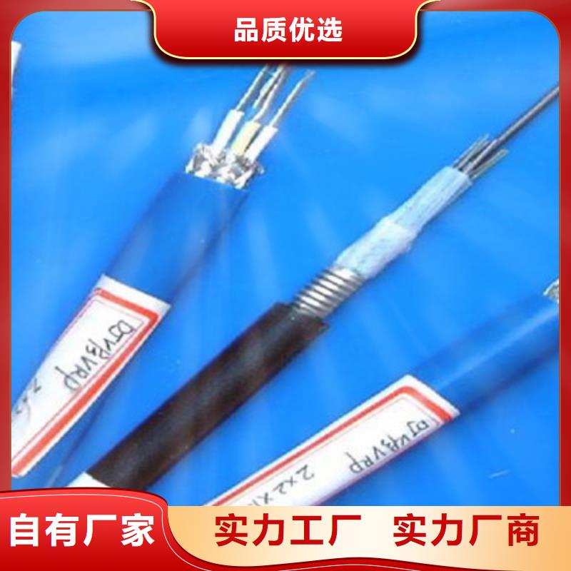 HBIYP2YVZ22-II計(jì)算機(jī)屏蔽電纜5X2X1.0