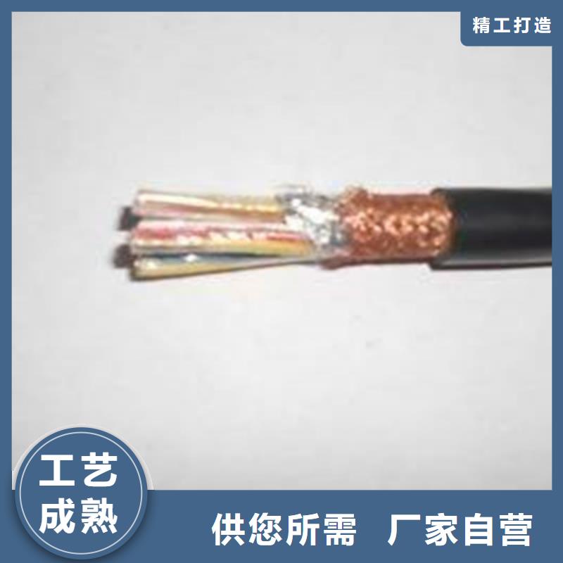 耐火計算機電纜NH-HBIYP2YVZ-III12X2X2.5