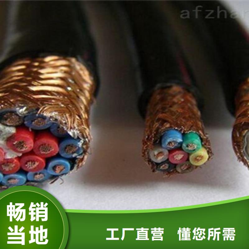 WDZ-DJVVP2-22低煙無鹵計算機電纜質量優質的廠家