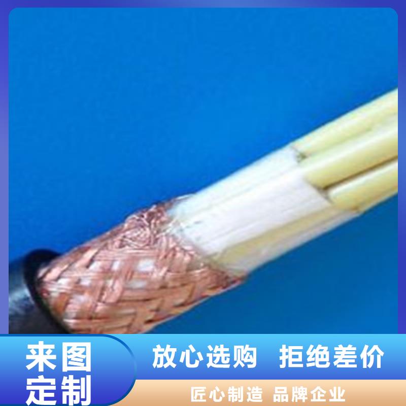 計算機屏蔽電纜KJCRP14X2X0.75