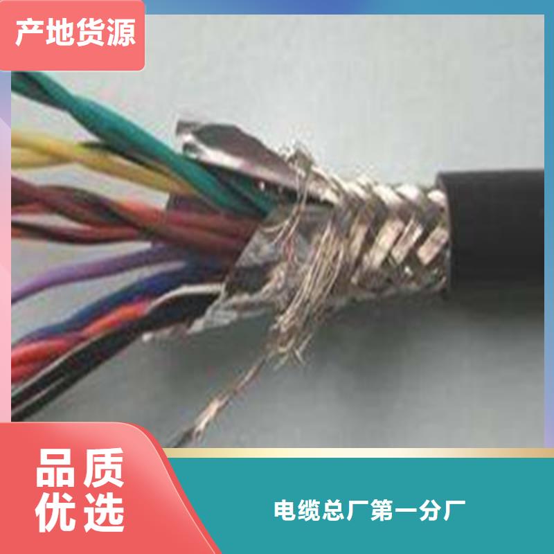 计算机屏蔽电缆DJYJP2VR10X2X1.5