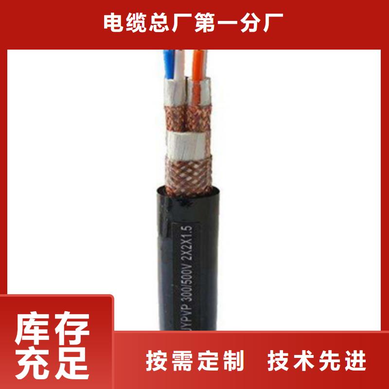 WDZ-DJVVP2-22低煙無鹵計算機電纜質量優質的廠家