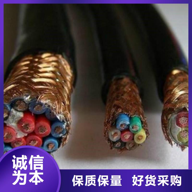 DJYJVP3-22鎧裝計算機電纜8X2X1.0