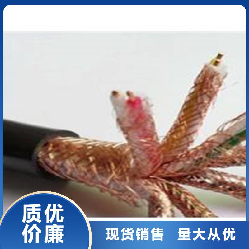 WDZ-HBIYP2YVZ22-II低煙無鹵計算機電纜10X2X1.0