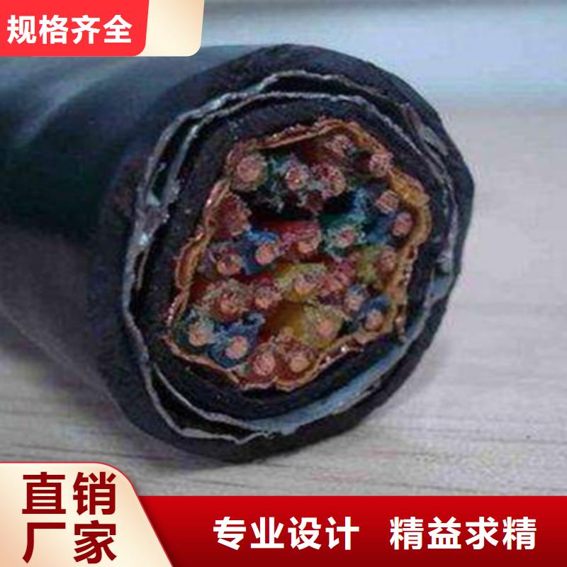 誠信為本低煙無鹵計算機電纜WDZ-ZA-105廠家