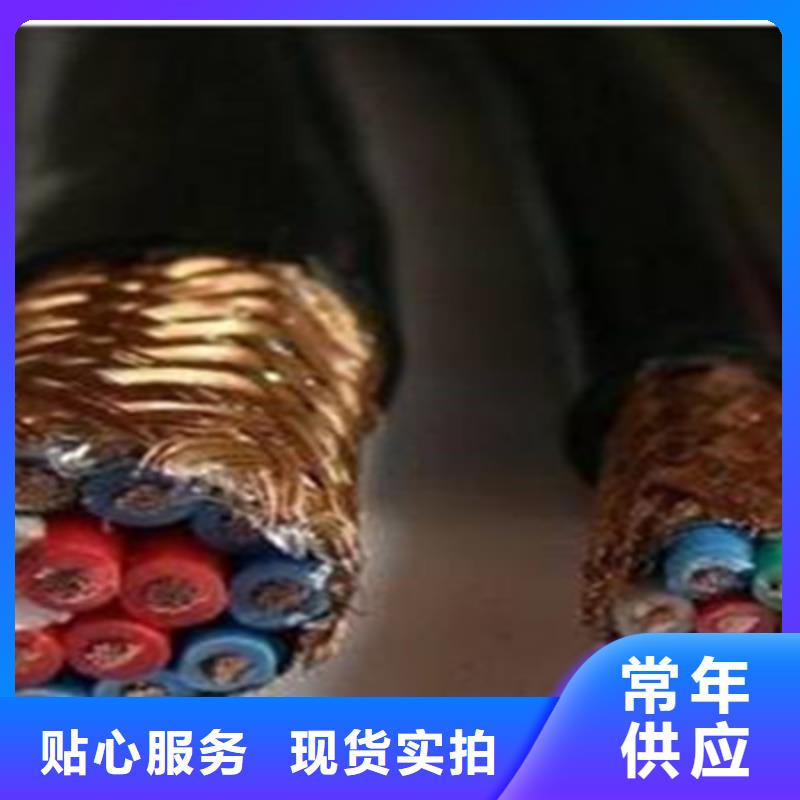 有現貨的耐火計算機電纜NH-DJYPVR經銷商