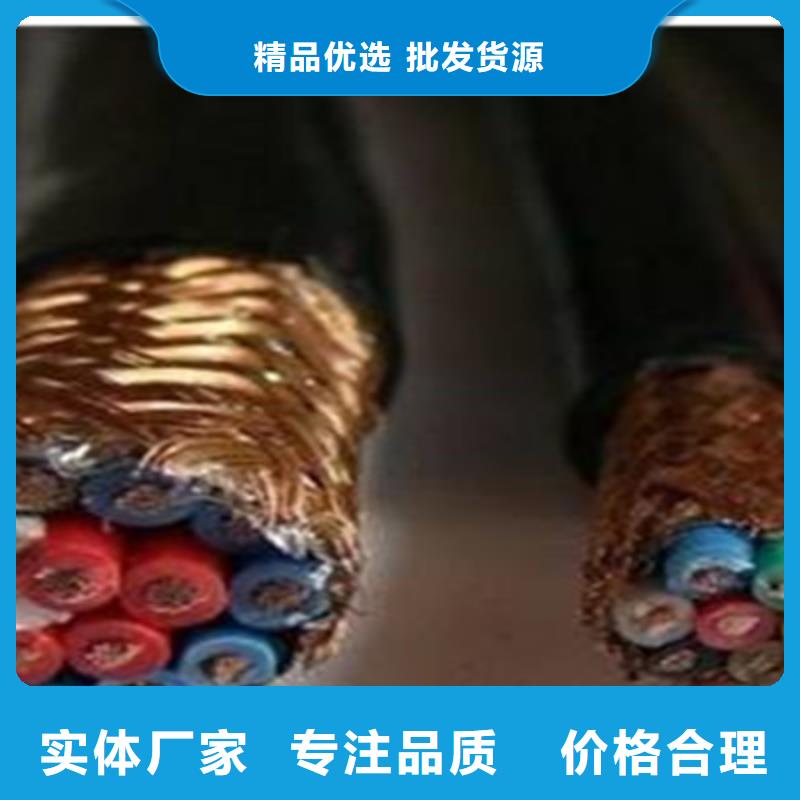 計(jì)算機(jī)電纜_信號(hào)電纜廠家十分靠譜