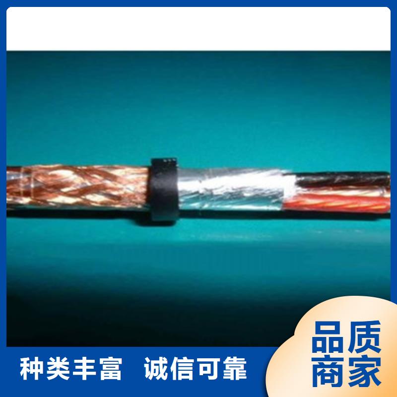 计算机屏蔽电缆DJYP2V22款式齐全