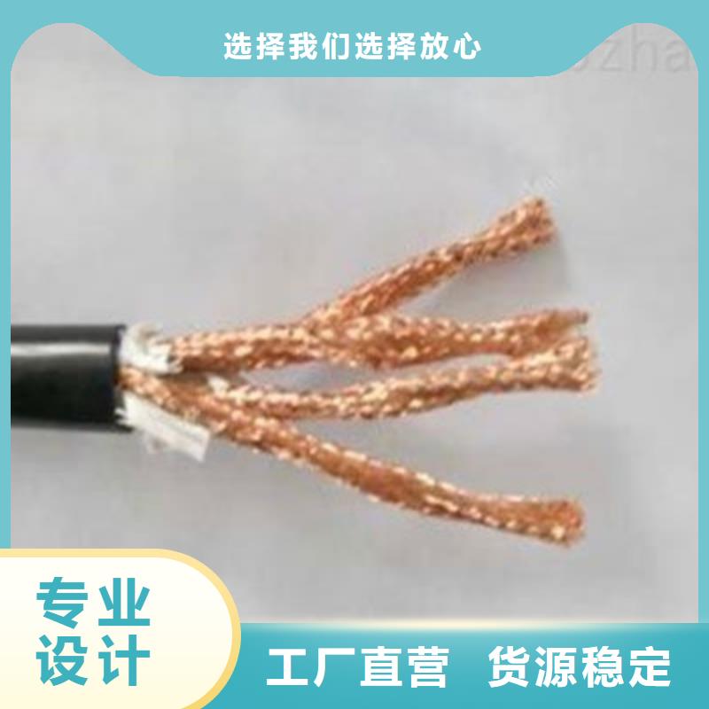 DJYJVP22計算機屏蔽電纜10X2X1.5