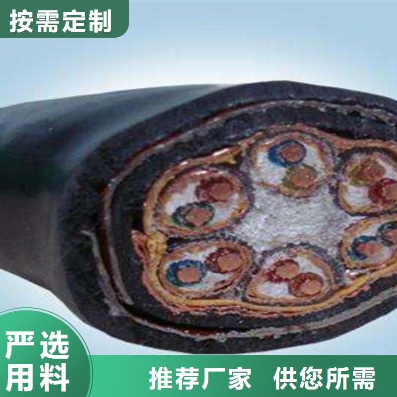 誠信為本低煙無鹵計算機電纜WDZ-ZA-105廠家