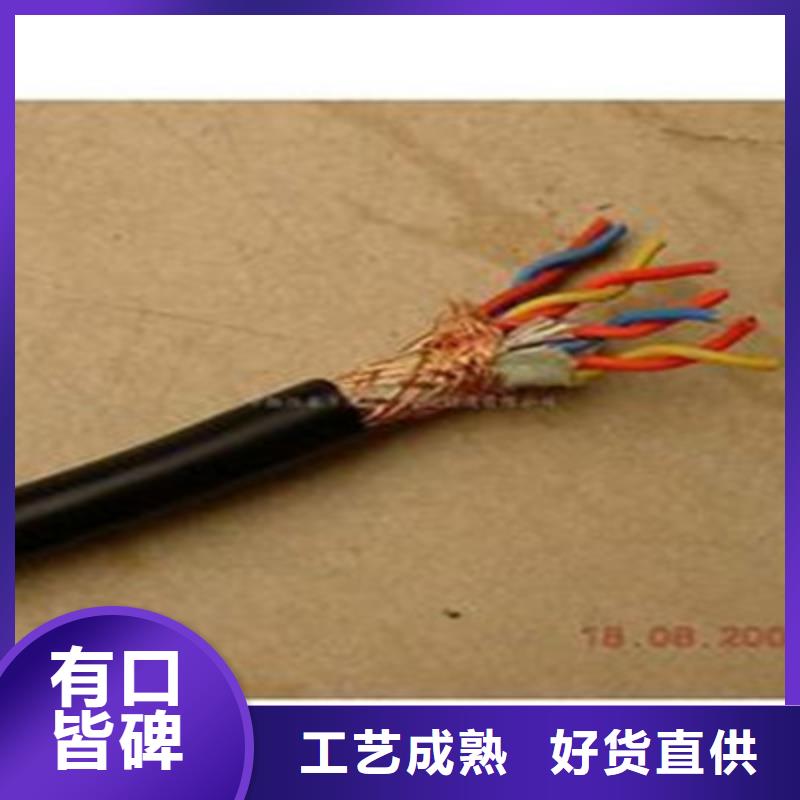 定做阻燃計算機電纜ZR-DJYJP3VP3