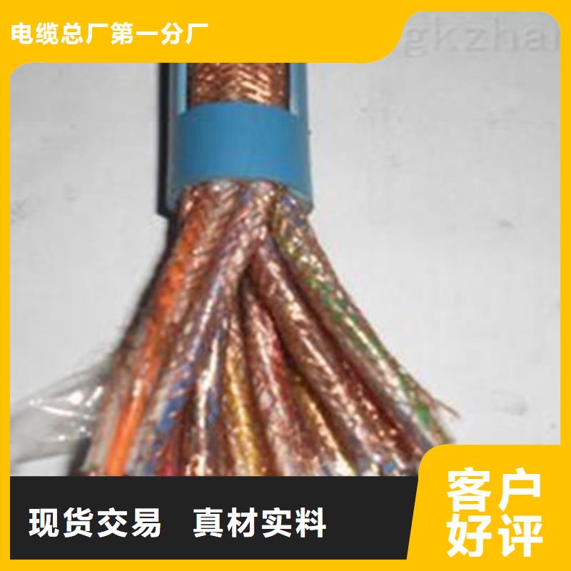 耐火計算機電纜NH-DJYJVP22制造廠商
