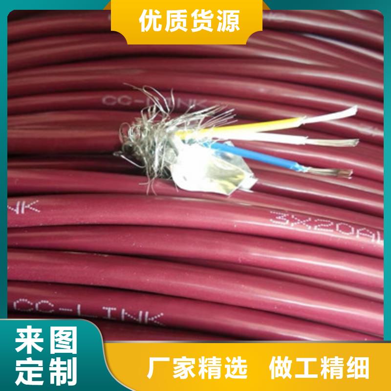 耐火計算機電纜NH-DJYJP2V10X2X1.5
