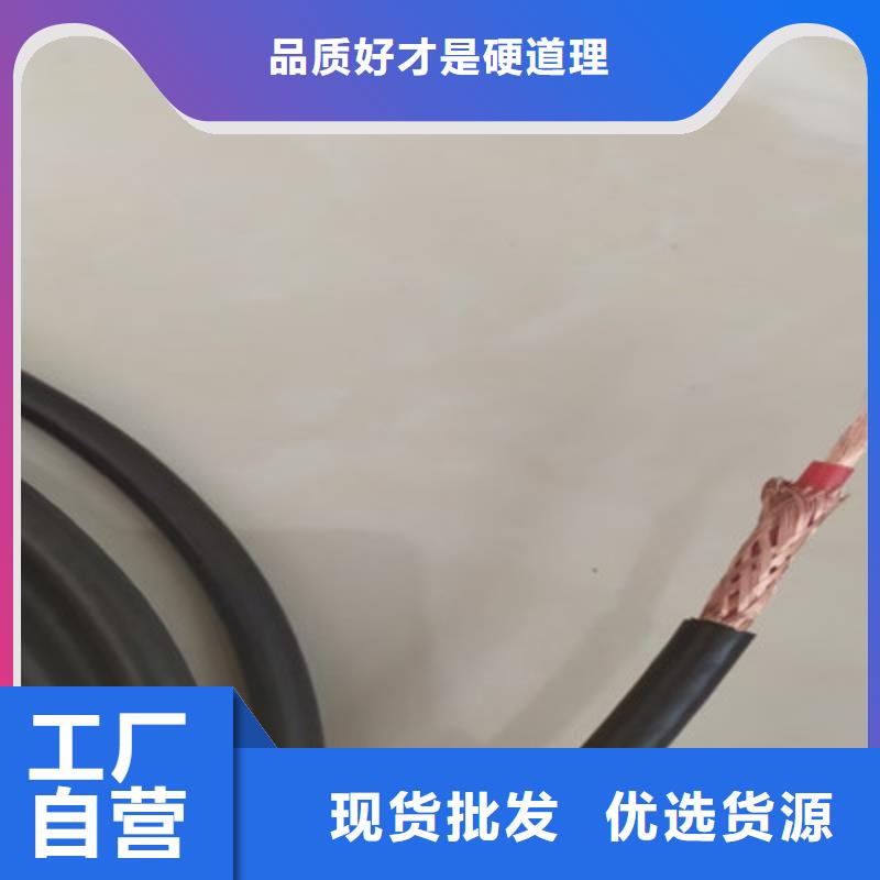 耐火計算機電纜NH-DJYPVPR10X2X2.5