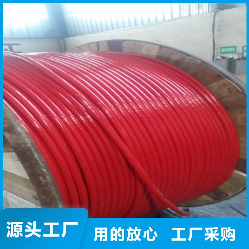 有現貨的耐火計算機電纜NH-HBIYP2YVZ-III經銷商