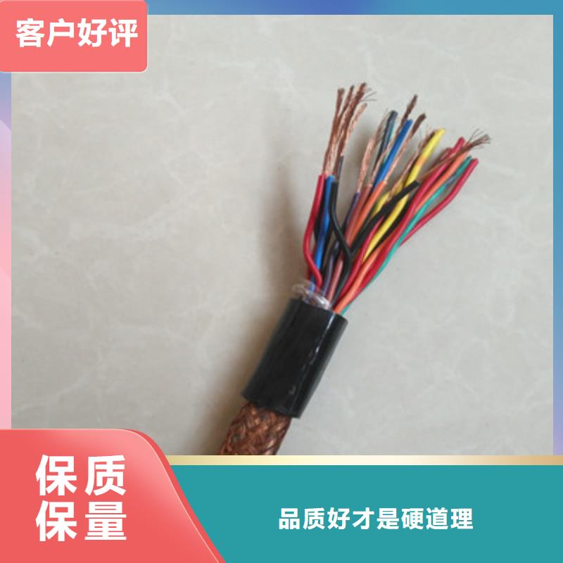 ZRC-JVPV-2A鎧裝計(jì)算機(jī)電纜3X2X2.5
