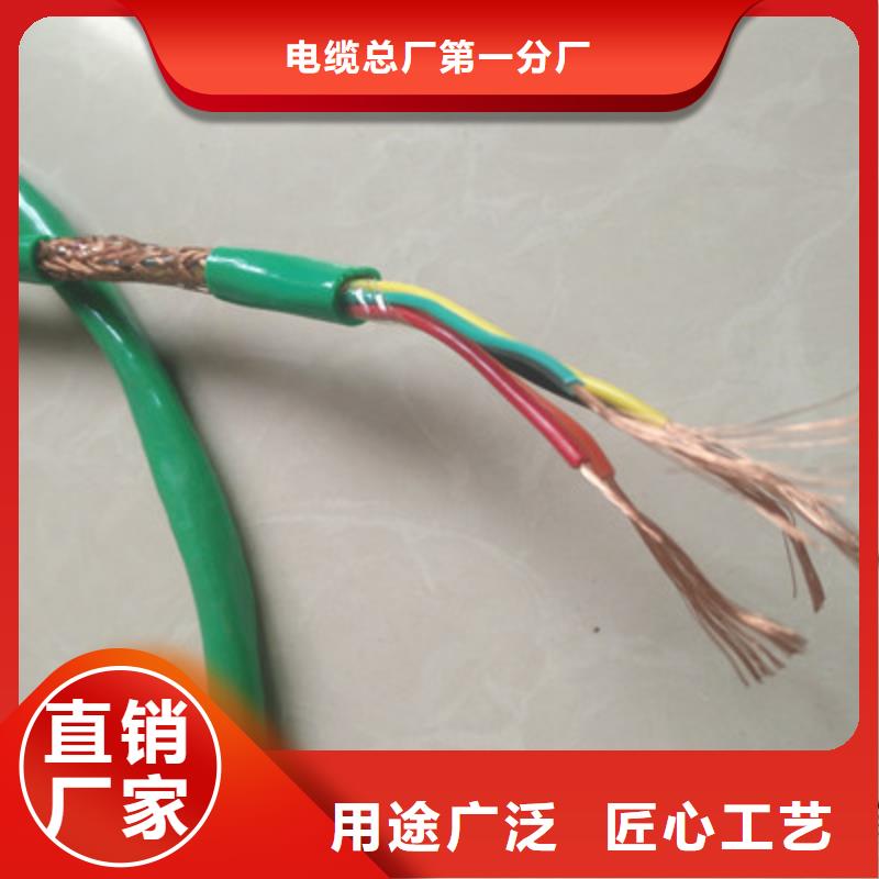 计算机屏蔽电缆DJYP2V22口碑良好